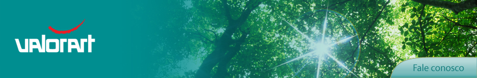 ValorArt